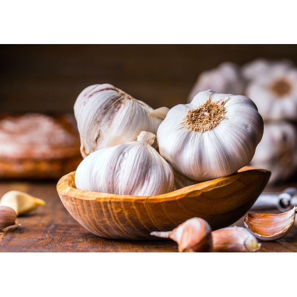 Купити Машина для очистки часника NILMA BOXER quick garlic peeler від відомого виробника NILMA