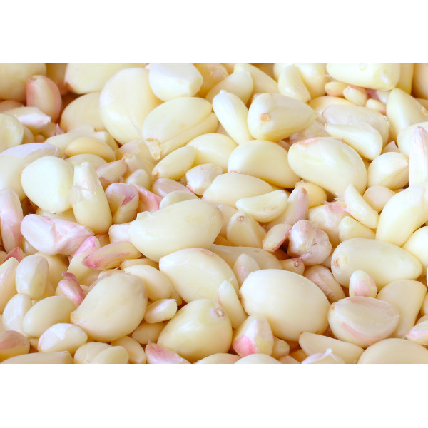 Купити Машина для очистки часника NILMA BOXER quick garlic peeler від відомого виробника NILMA